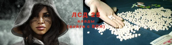 индика Нея