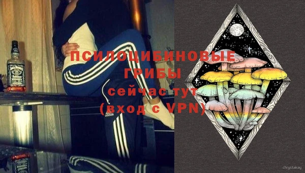 соль ск Новокубанск