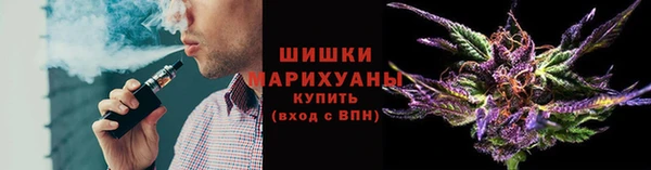 индика Нея