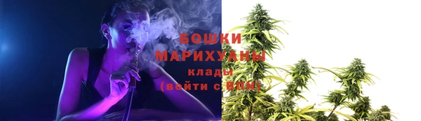 дживик Нефтекумск