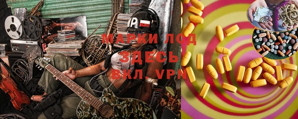 индика Нея