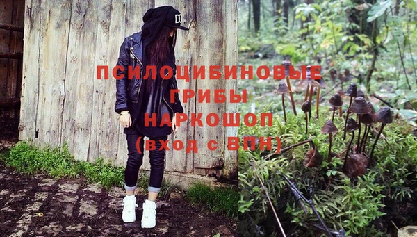 индика Нея