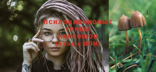 индика Нея