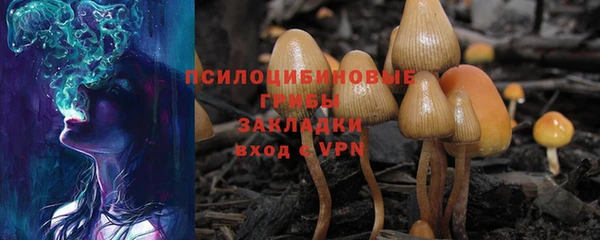 спайс Новодвинск