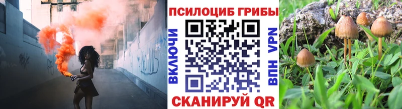 Галлюциногенные грибы MAGIC MUSHROOMS kraken вход Кедровый